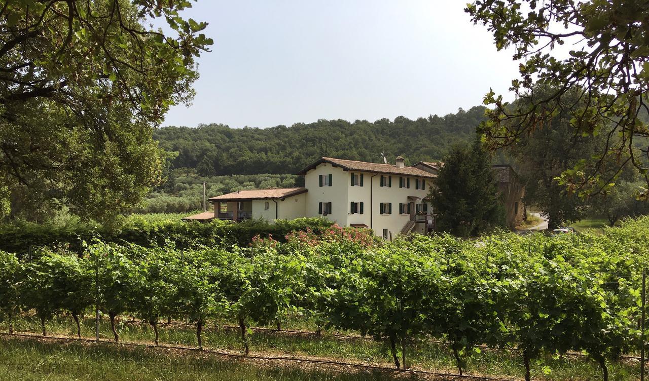 Apartamento Agriturismo Ca' Castellani Bardolino